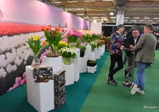 De Tulpenstraat waar de firma's Smit Flowers, Color Pack, Polder Pride en Triflor hun tulpen presenteerden.